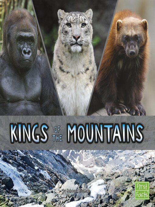 Title details for Kings of the Mountains by Rebecca Rissman - Available
